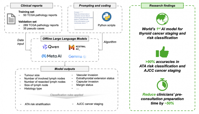 The HKUMed-developed model makes use of four offline large language models —Mistral, Llama, Gemma, and Qwen— to analyse clinical documents for the efficient and accurate staging and risk classification of thyroid cancer.
 